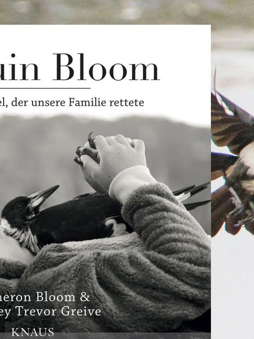 "Penguin Bloom" - In diesem Buch werden Tierfotografien und Text sinnstiftend miteinander verbunden.