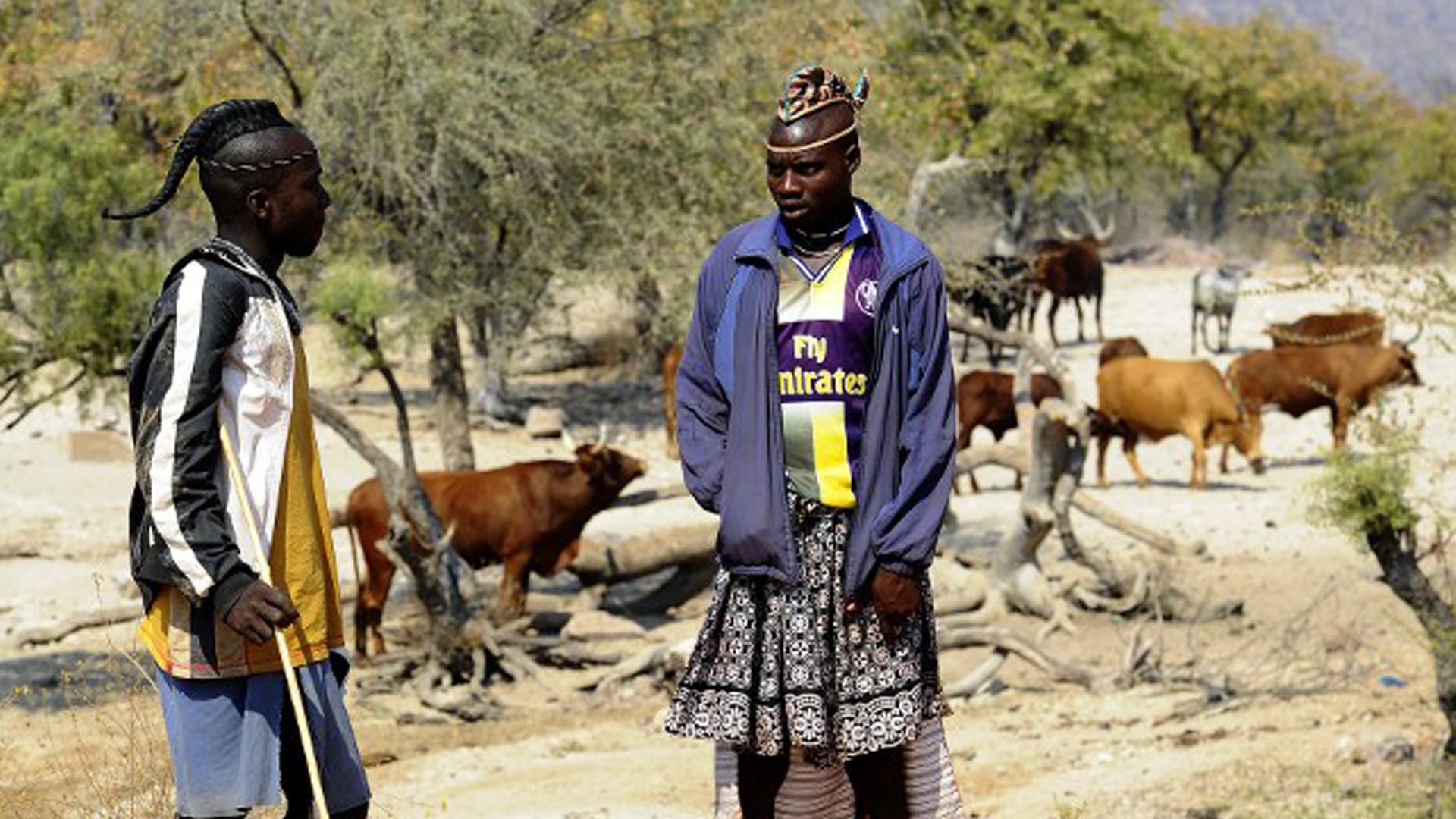 Zwei Himba-Männer in Namibia unterhalten sich, während sie auf ihre Kühe aufpassen.