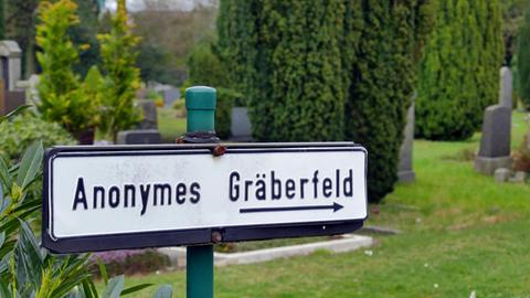 Hinweisschild zum anonymen Graeberfeld auf einem Friedhof, Deutschland, Vegesack, Bremen guidepost to anonymous burial ground, Germany, Vegesack, Bremen BLWS424394 Copyright: xblickwinkel/G.xFranzx Sign to anonymous Graeberfeld on a Cemetery Germany Vegesack Bremen guide post to Anonymous burial Ground Germany Vegesack Bremen Copyright xblickwinkel G xFranzx