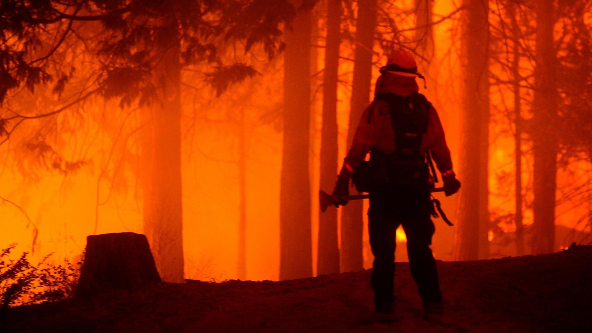 Ein Feuerwehrmann ist von hinten zu sehen, wie er in den brennenden Wald schaut. Ein Feuerwehrmann ist von hinten zu sehen, wie er in den brennenden Wald schaut.