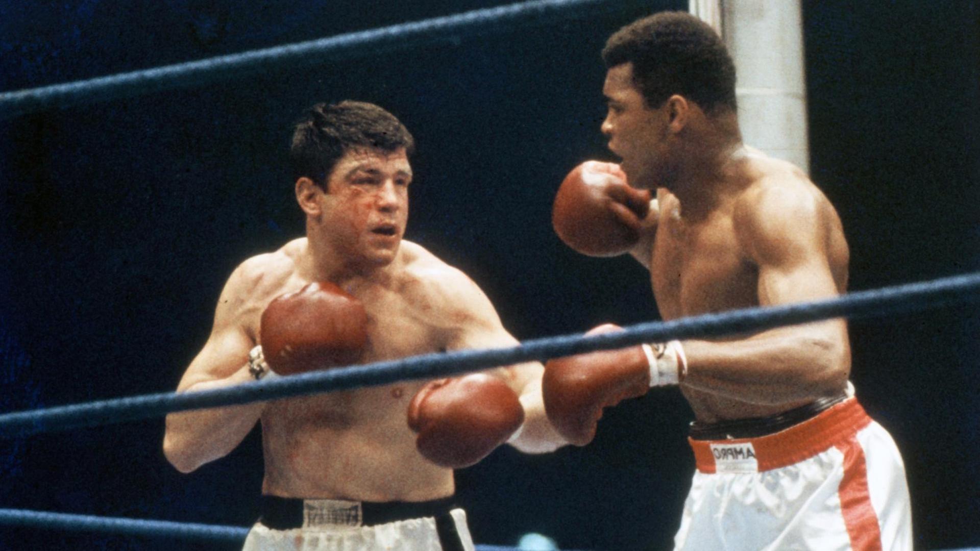 Mildenberger (l) und Muhammad Ali stehen sich im Box-Ring gegenüber.