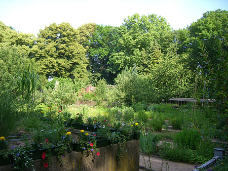 Rosengarten in einem Kölner Fort