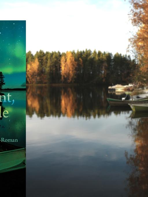 Buchcover "Sakari lernt, durch Wände zu gehen" von Jan Costin Wagner, im Hintergrund ein See in Finnland