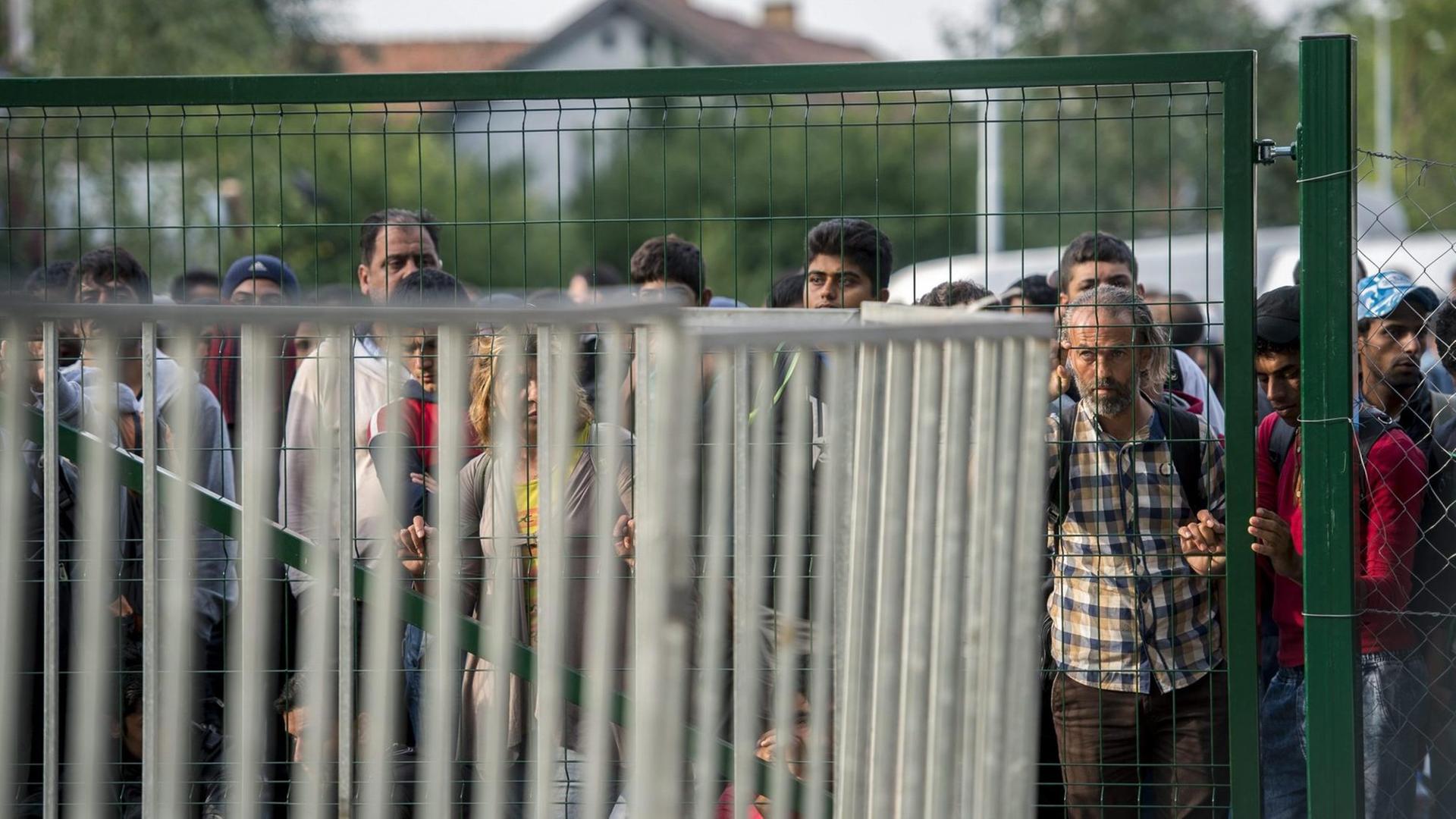 Flüchtlinge warten am Grenzzaun bei Röszke an der ungarisch-serbischen Grenze.