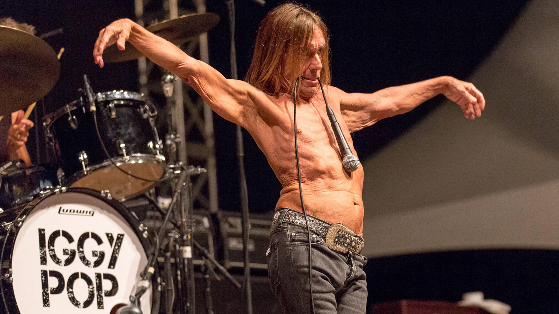 Der Musiker Iggy Pop auf einer Konzertbühne im Jahr 2015. 