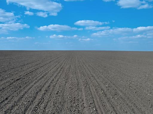 Frisch eingesätes Feld mit Humus,