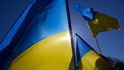 Die blau-gelben Flaggen der Ukraine in der Sonne.