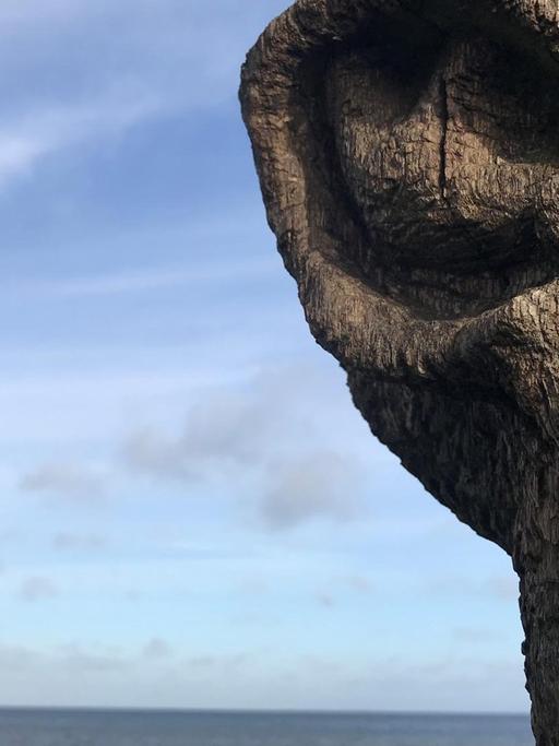 Neben einem Natur-Panorama unter freiem Himmel und Meer ist eine Baumskulptur mit einem geschnitzten Ohr zu sehen.