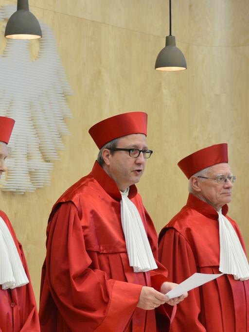 Das Bundesverfassungsgericht im Januar 2014