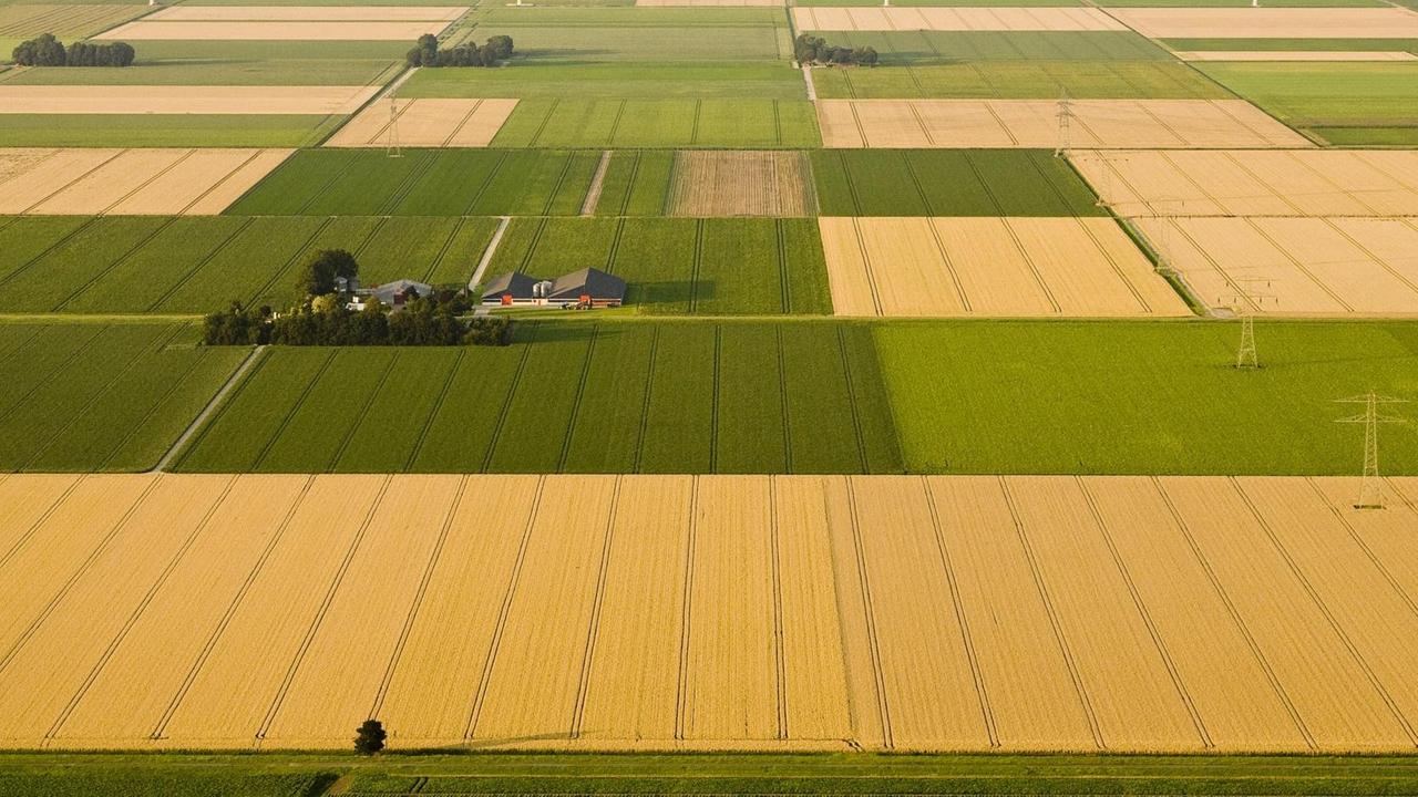 Luftaufnahme einer monotonen Feldlandschaft in Nordholland