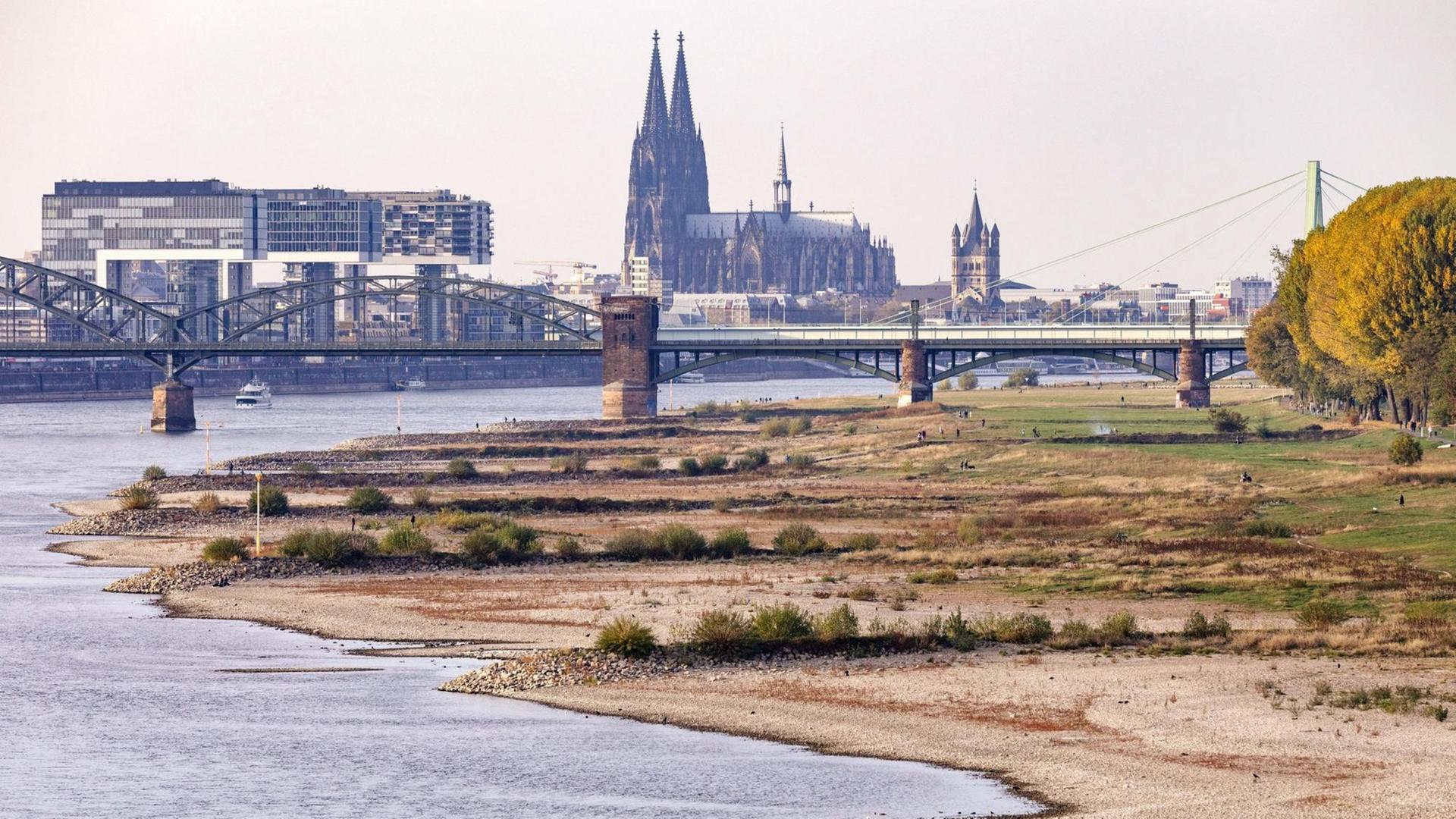 Der Rhein trägt wenig Wasser, im Hintergrund ist der Kölner Dom. 