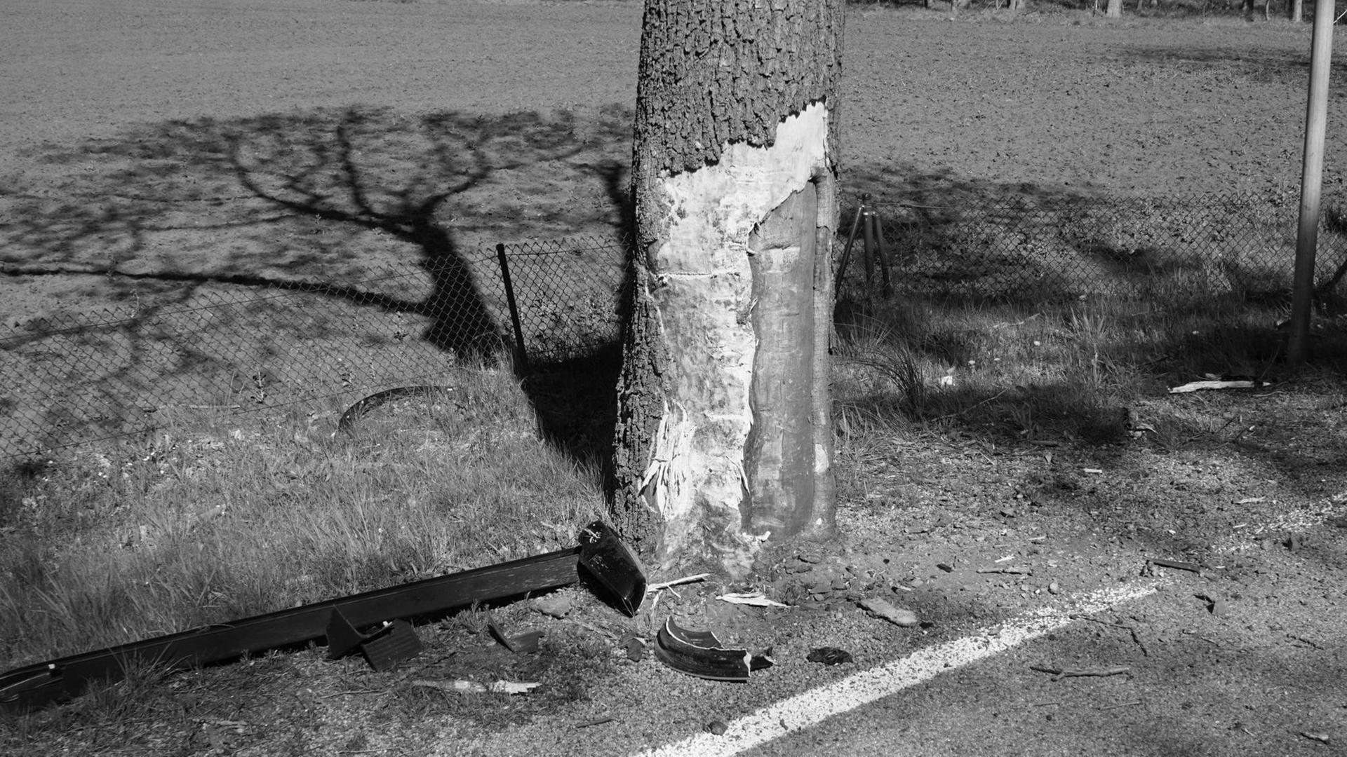 Beschädigter Baum nach Aufprall eines Autos