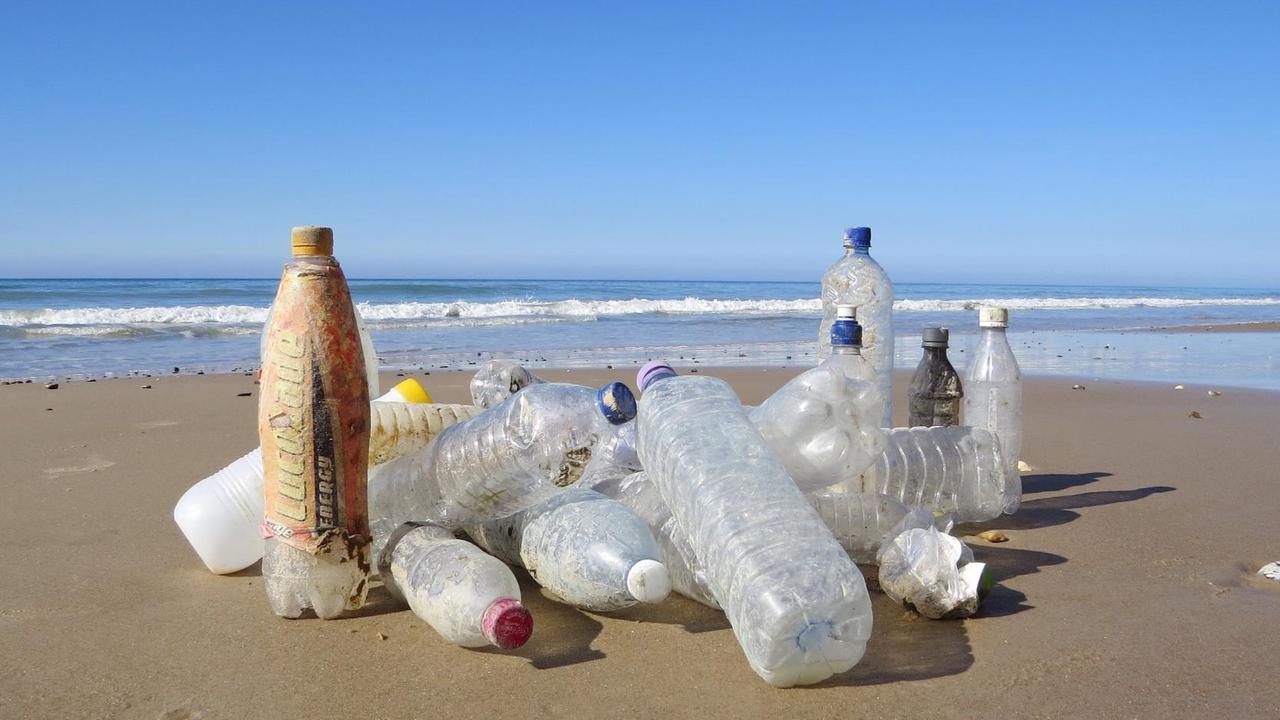 Plastikflaschen am Strand. Aufgenommen vom Verein "Küste gegen Plastik".