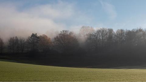 Höchst im Odenwald am 18.Dezember 2020 v.l., Sonne und Nebel, Nebeldecke am Waldrand über Höchst im Odenwald, Herbstimmung, Winter Foto: Joaquim Ferreira