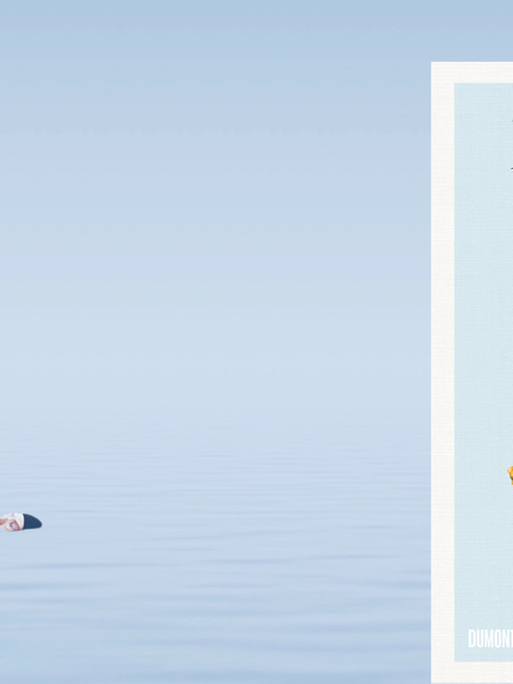 Das Cover von Ewald Arenz: „Der grosse Sommer“ vor einer Wasserfläche mit Schwimmer