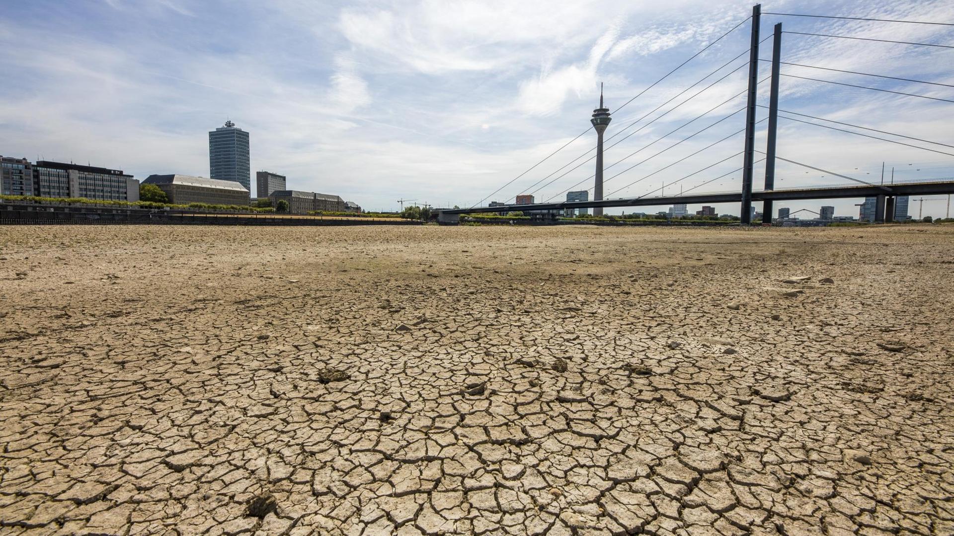 Der Rhein bei Düsseldorf hatte extremes Niedrigwasser nach der langen Dürre 2020 (Archivbild).
