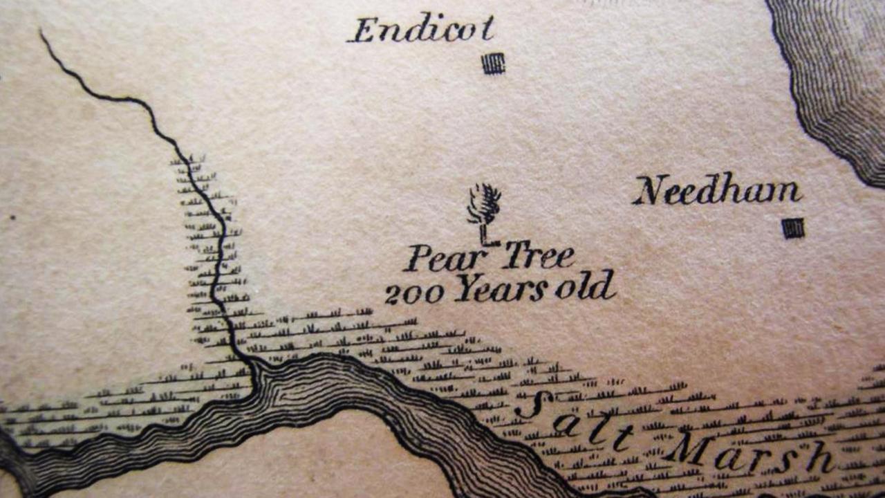 Detail einer abstrakten Karte, auf der ausgewiesen ist, wo man einen 200 Jahre alten Birnbaum findet.