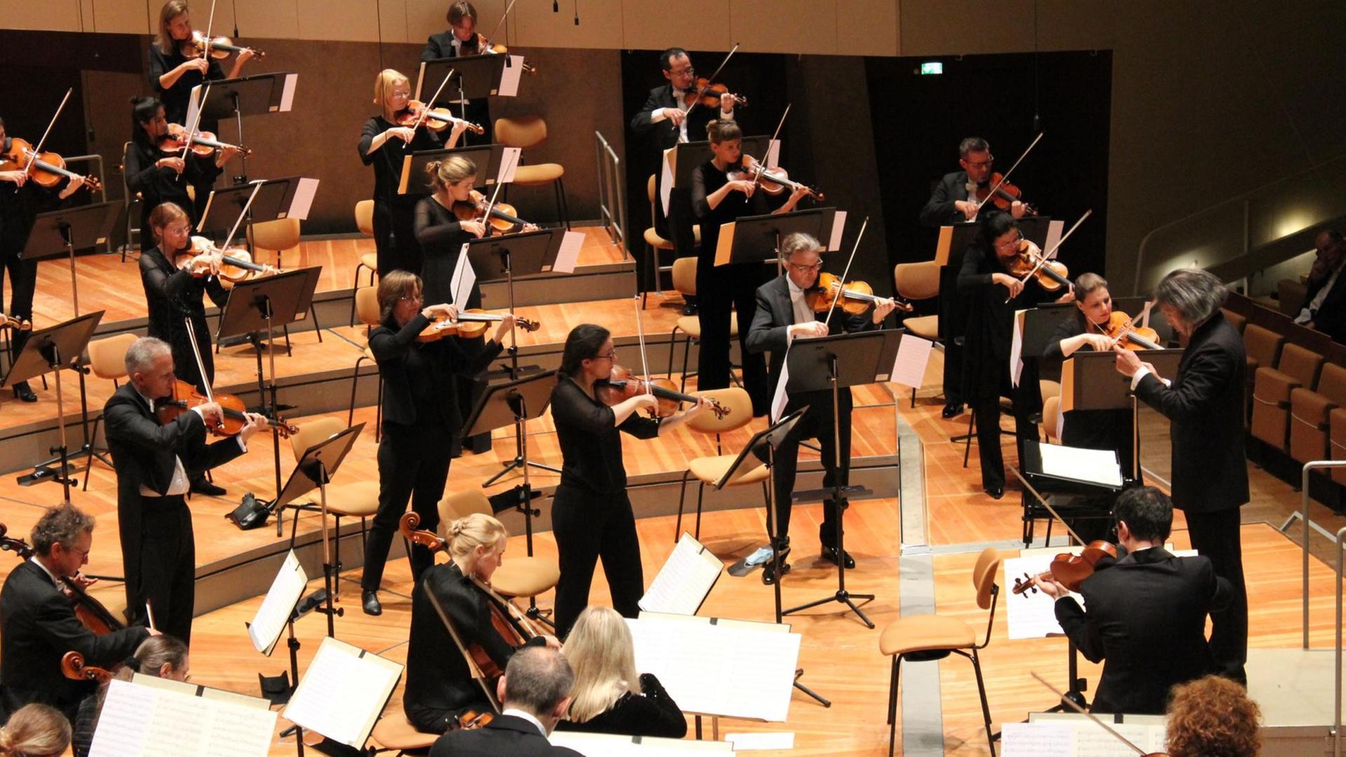 Ein schwarz gekleidetes Streichorchester spielt stehend, der Dirigent steht rechts mittig und blickt auf seine Noten, die vor ihm auf einem Pult liegen.