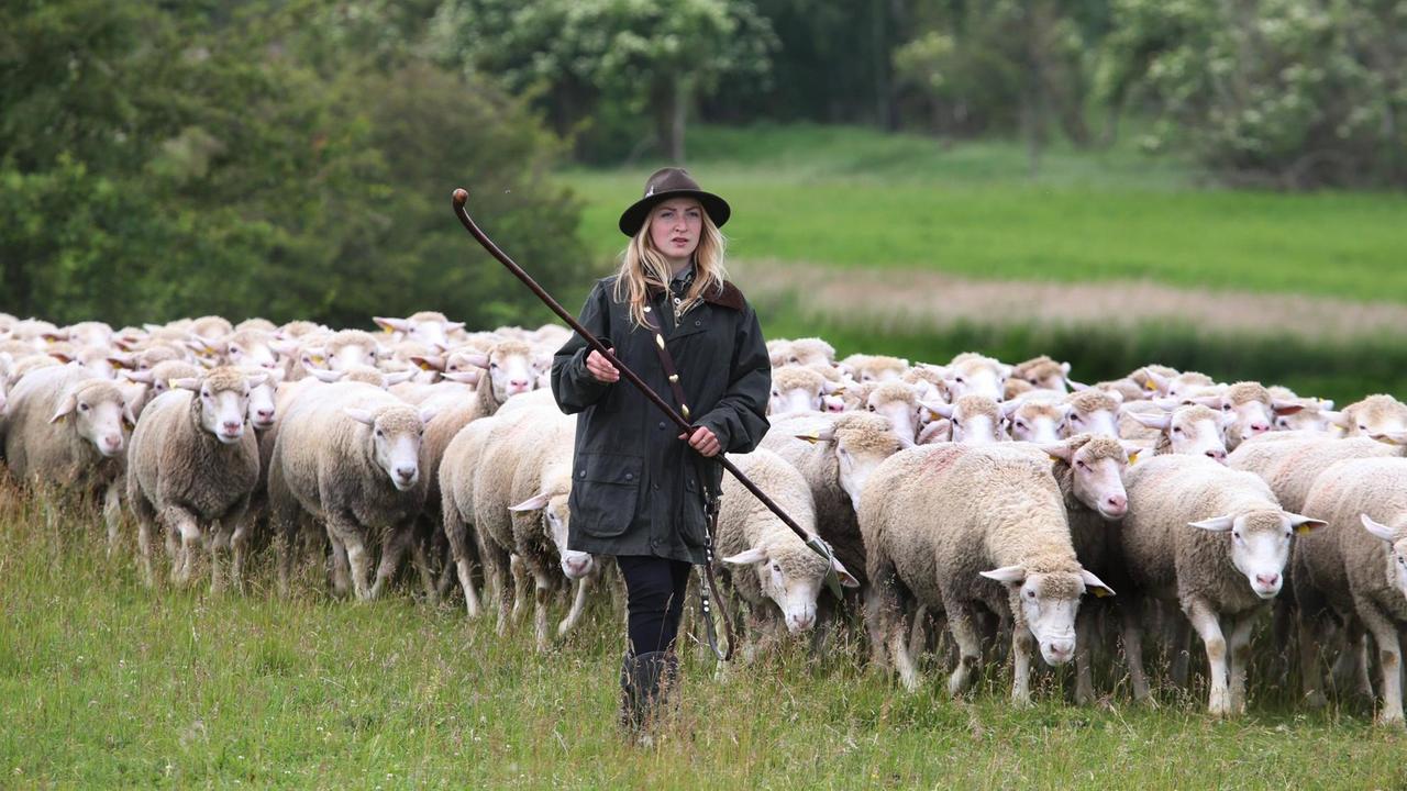 Schäferlehrling Juliane Prass ist mit ihren Schafen unterwegs. 
