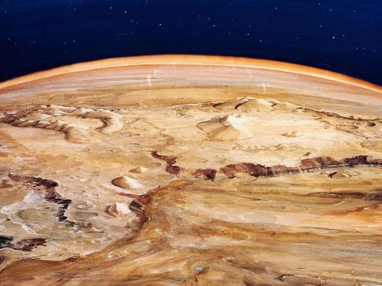 Die Oberfläche des Planeten Venus