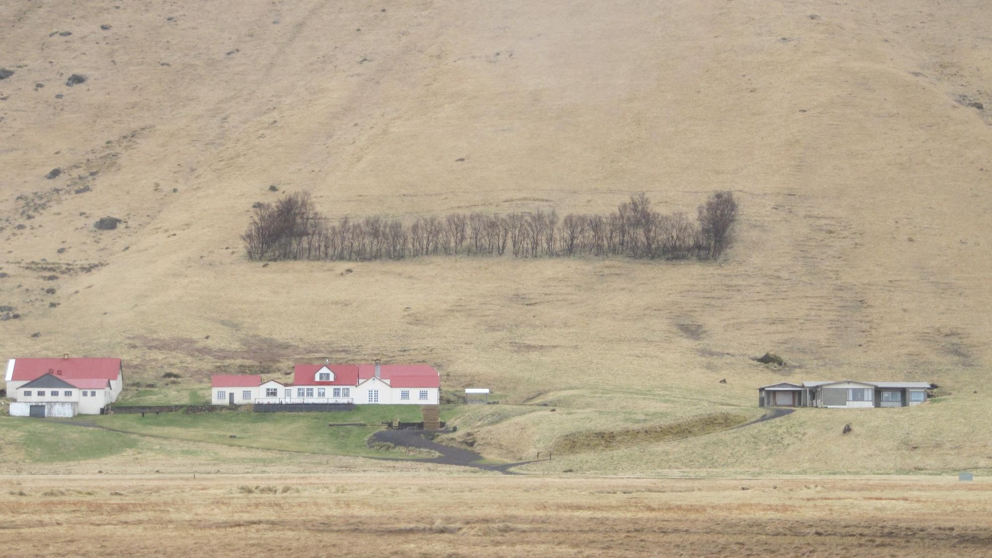 Naturreligion auf Island - Der Einfluss von Trollen und Elfen auf das Leben  der Isländer