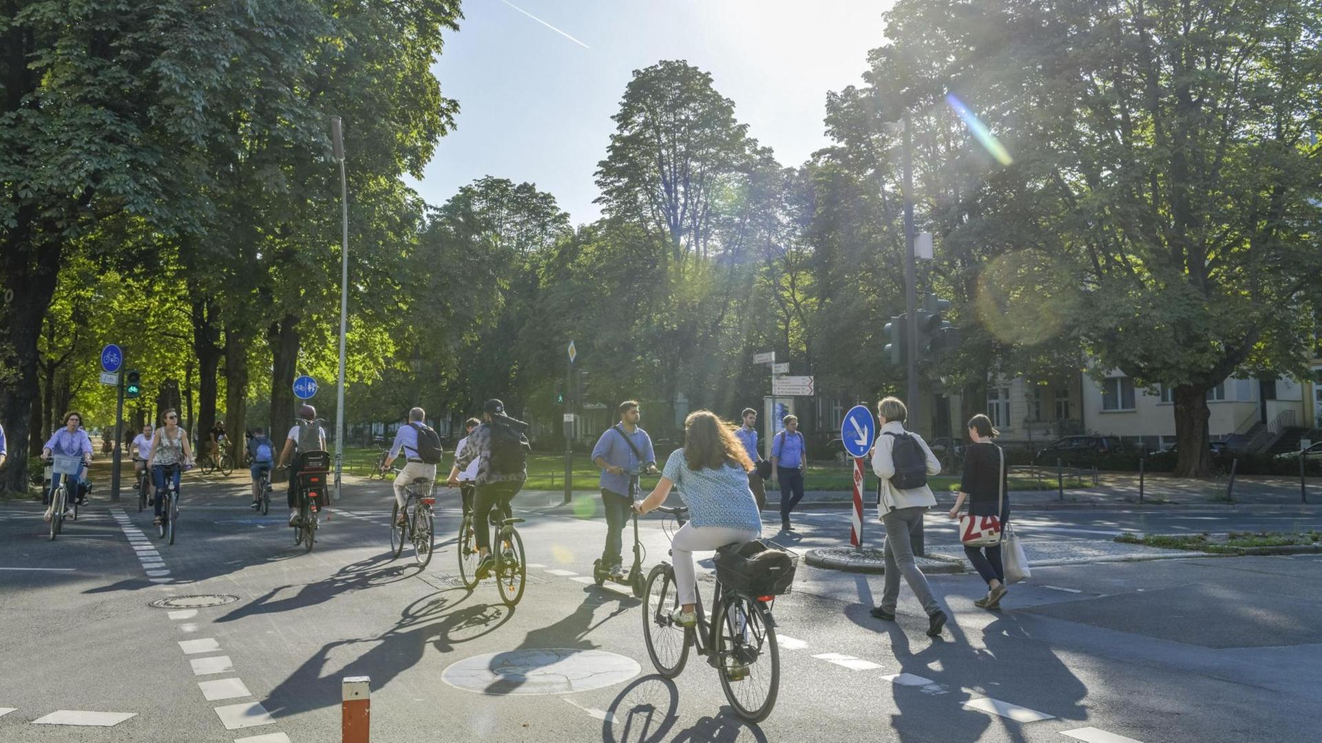 Fahrradverkehr, Poppelsdorfer Allee, Bonn