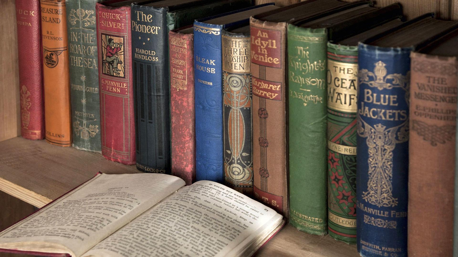 In einem Buchregal stehen Taschenbücher mit bunten Einbänden und Rücken