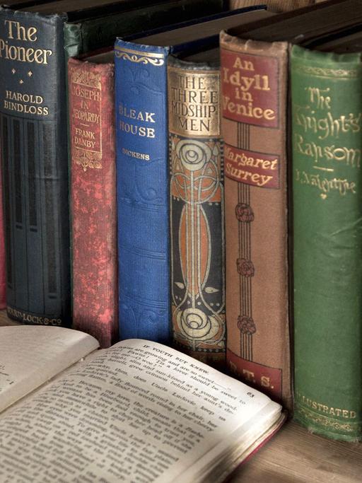 In einem Buchregal stehen Taschenbücher mit bunten Einbänden und Rücken