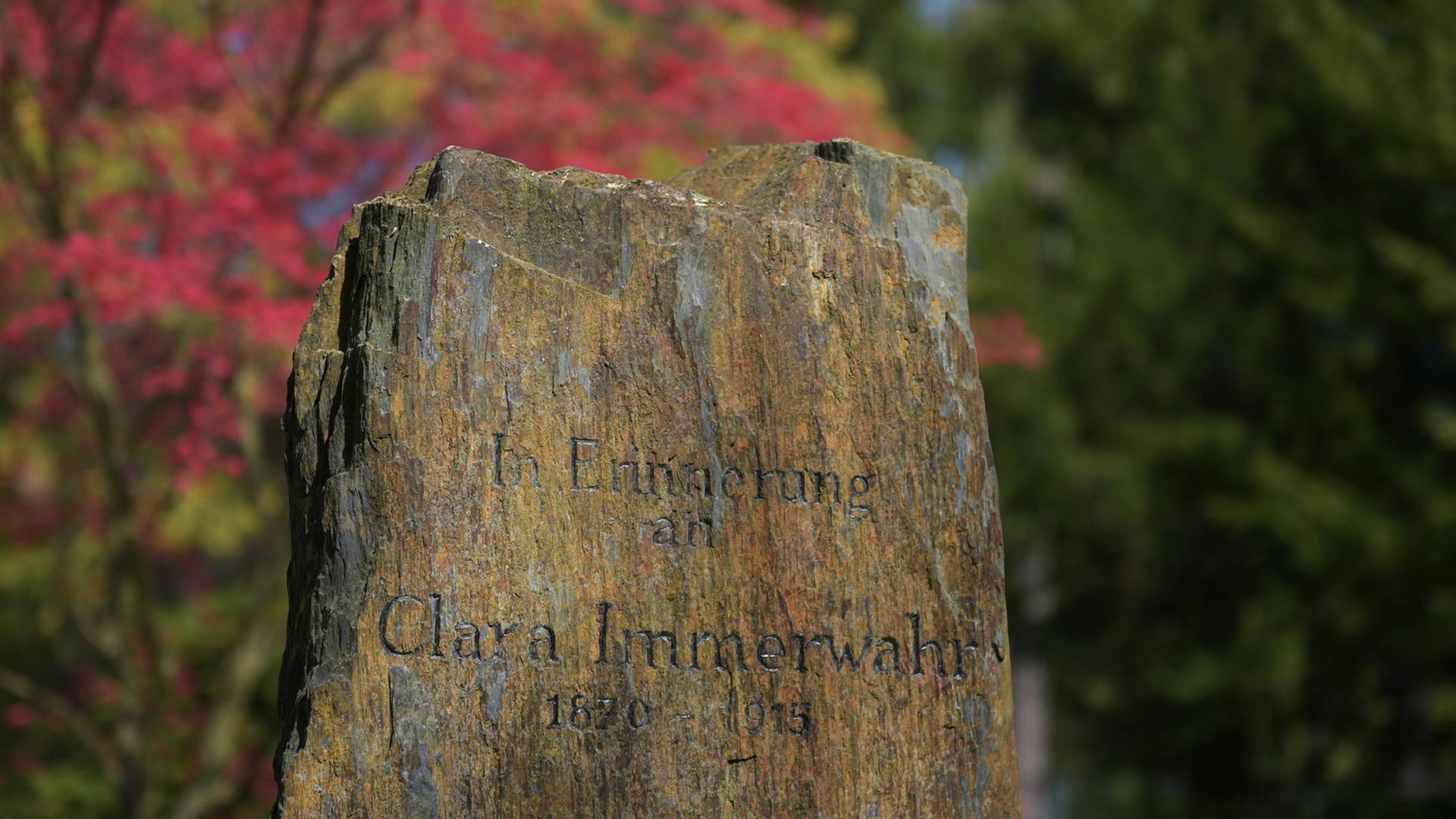 Der Gedenkstein von Clara Immerwahr (1870-1915) steht am 23.04.2015 im Garten des Fritz-Haber-Instituts der Max-Planck-Gesellschaft in Berlin-Dahlem