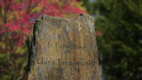 Der Gedenkstein von Clara Immerwahr (1870-1915) steht am 23.04.2015 im Garten des Fritz-Haber-Instituts der Max-Planck-Gesellschaft in Berlin-Dahlem
