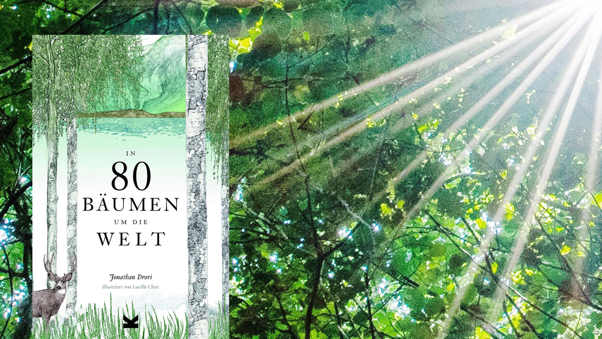 Buchcover von "In 80 Bäumen um die Welt" des Autors Jonathan Drori