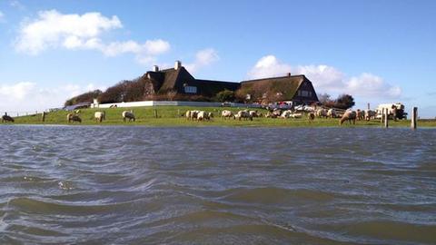 Häuser auf der Hallig Süderoog im nordfriesischen Wattenmeer, seit zehn Jahren Teil des UNESCO-Weltnaturerbes