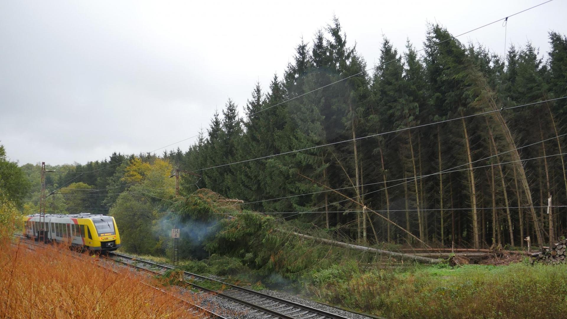 Mehrere Fichten sind auf die Stromleitungen einer Bahntrasse gefallen.