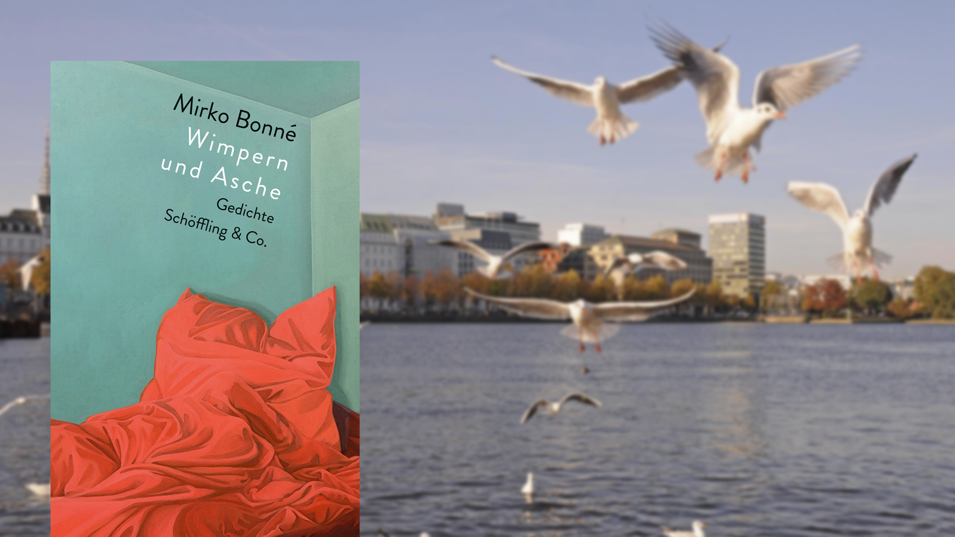 Cover von Mirko Bonné "Wimpern und Asche", im Hintergrund sind Möwen über der Alster in Hamburg zu sehen