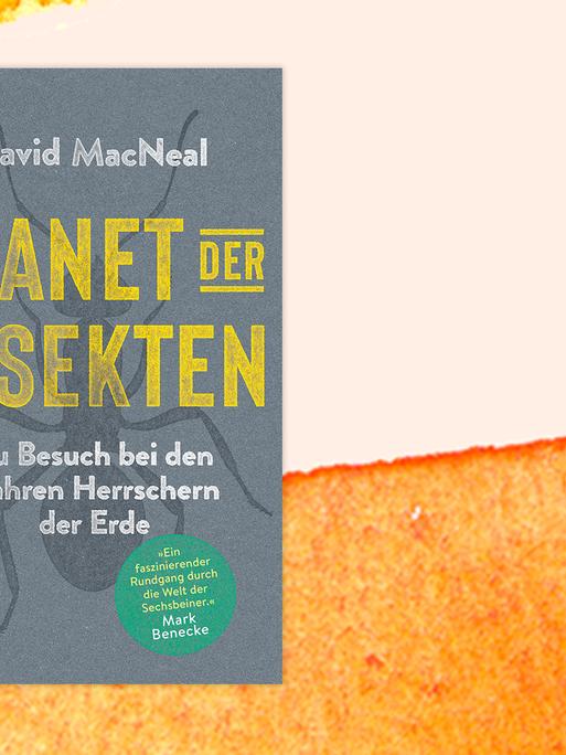 Buchcover zu David MacNeals "Planet der Insekten - Zu Besuch bei den wahren Herrschern der Erde".
