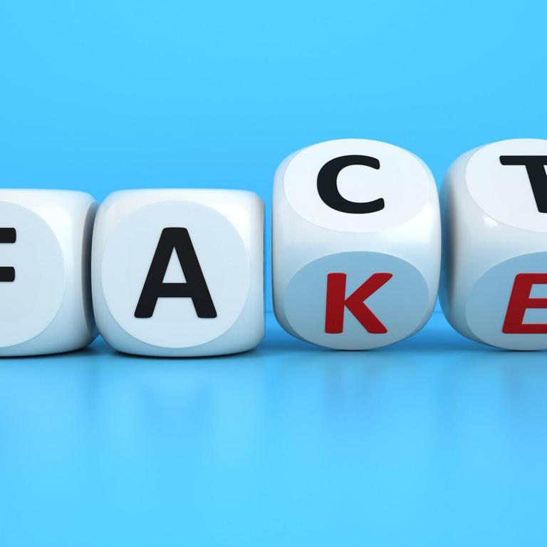 Würfel, die auf der Kippe stehen und sowohl auf "Fact", als auch auf "Fake" landen könnten