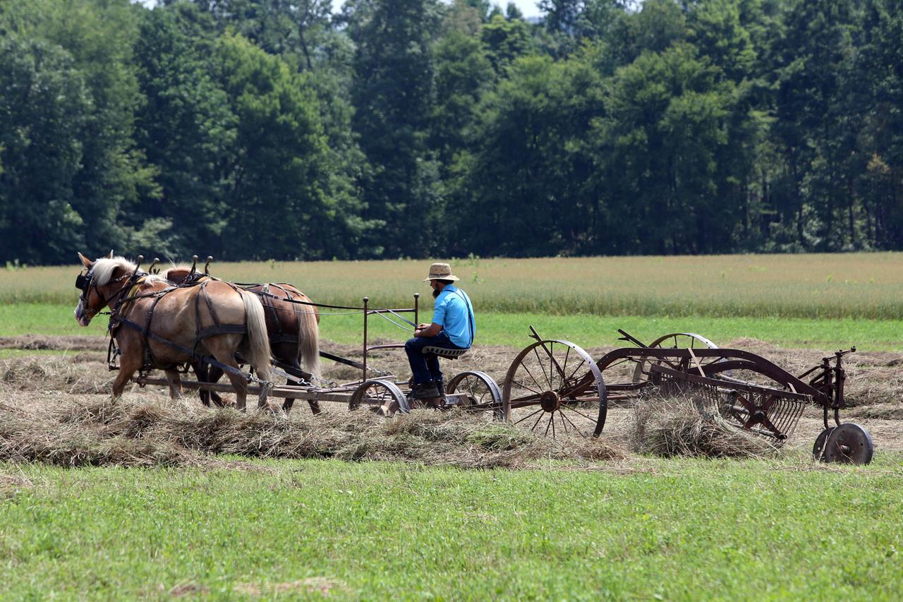 Ein Bauer der Religionsgemeinschaft Amish People bei der Heuernte