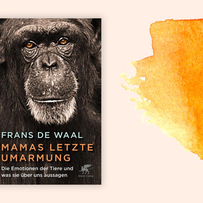 Buchcover "Mamas letzte Umarmung" von Frans de Waal vor einem grafischen Hintergrund 