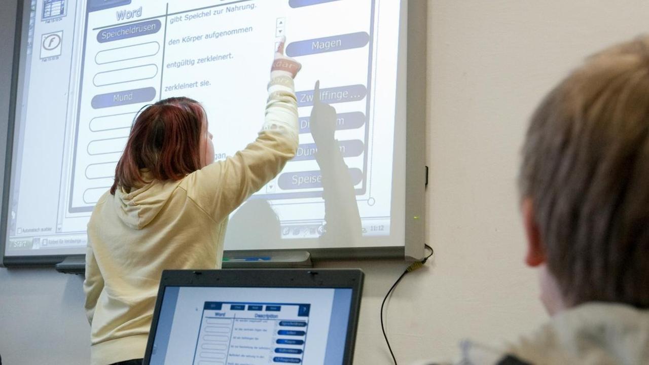Schüler von einer 6. Klasse schauen  auf eine Computer-Tafel.