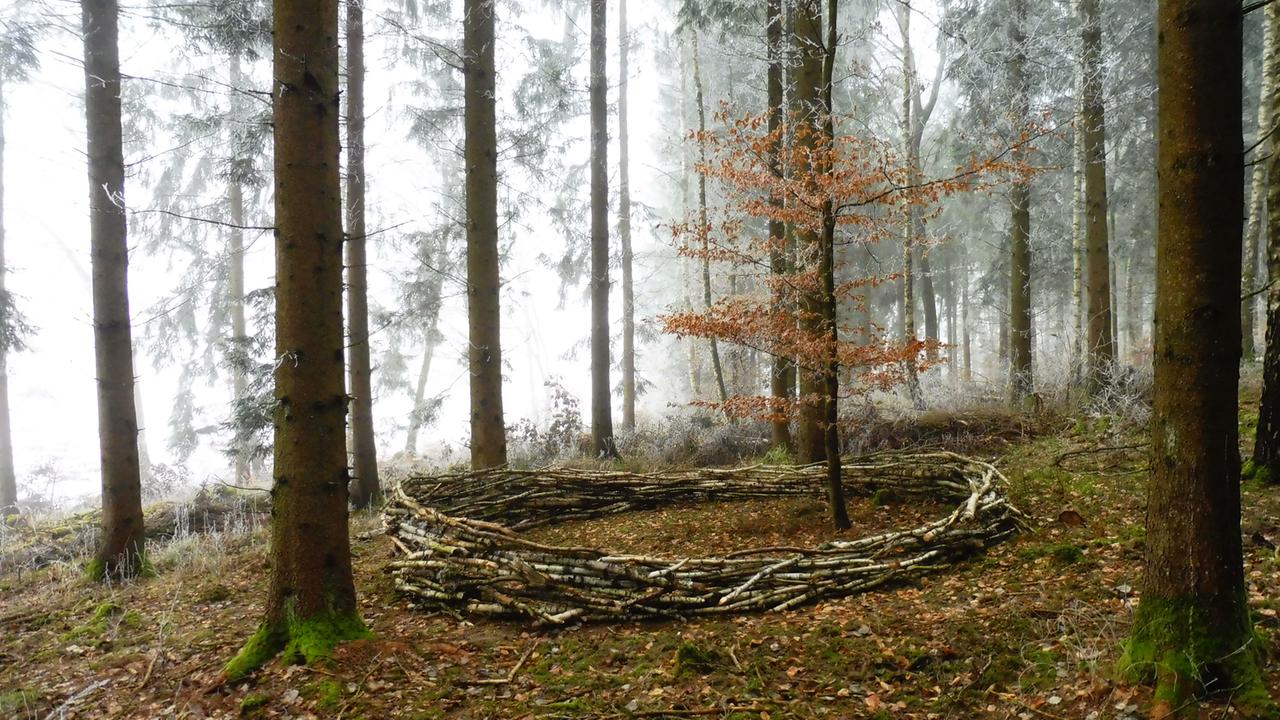 BIRKENKREIS - Landart in einem Wald bei Sigmaringen