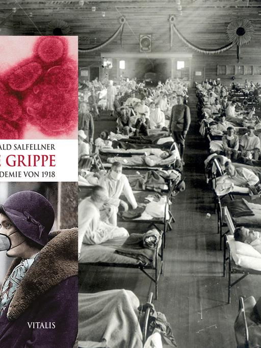 Buchcover Harald Salfellner: "Die Spanische Grippe. Eine Geschichte der Pandemie von 1918".