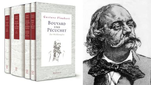 Buchcover: Gustave Flaubert: „Bouvard und Pécuchet. Der Werkkomplex“