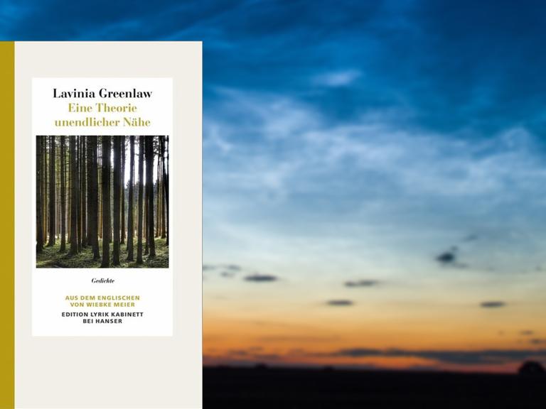 Buchcover Lavinia Greenlaw: „Eine Theorie unendlicher Nähe“. Im Hintergrund sieht man einen Sonnenuntergang.