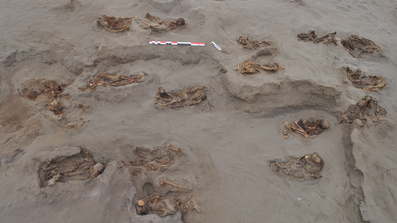 Vom Wind freigelegte Skelette von Kindern und Lamas, die von den Chimú im 15. Jahrhundert geopfert wurden.