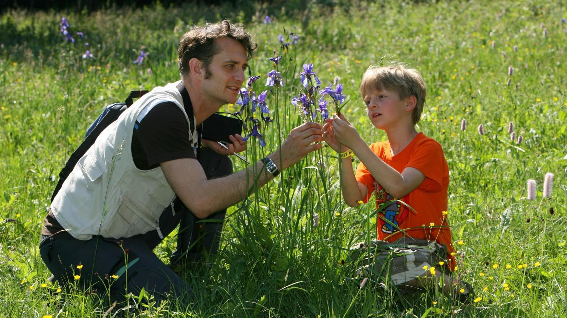 Auf einer Wiese bei Crawinkel (Ilm-Kreis) betrachten der Biologe Andreas Weber und der 7-jährige Max am Samstag (09.06.2007) eine wild gewachsene Sibirische Schwertlilie (Iris sibirica).
