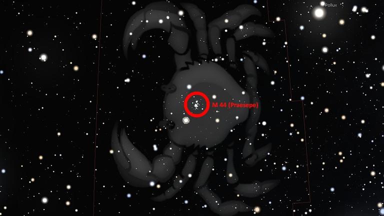 Der Sternhaufen M 44 (Krippe) ist im Fernglas ein schönes Beobachtungsobjekt