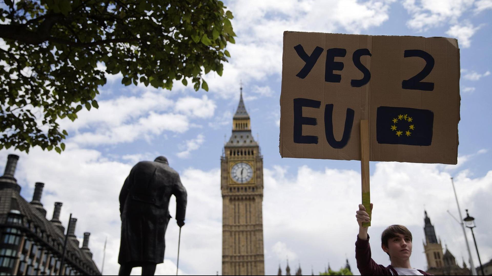 Ein Demonstrant hält ein Schild gegen den Brexit hoch.
