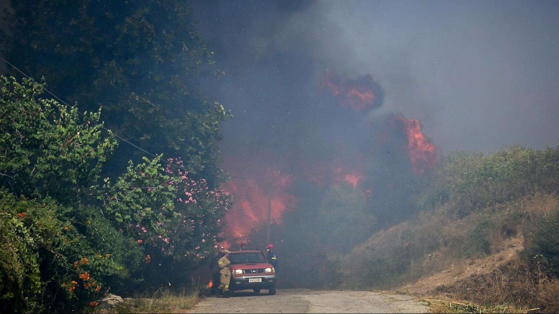 Waldbrand in Elekistra, außerhalb von Patras.