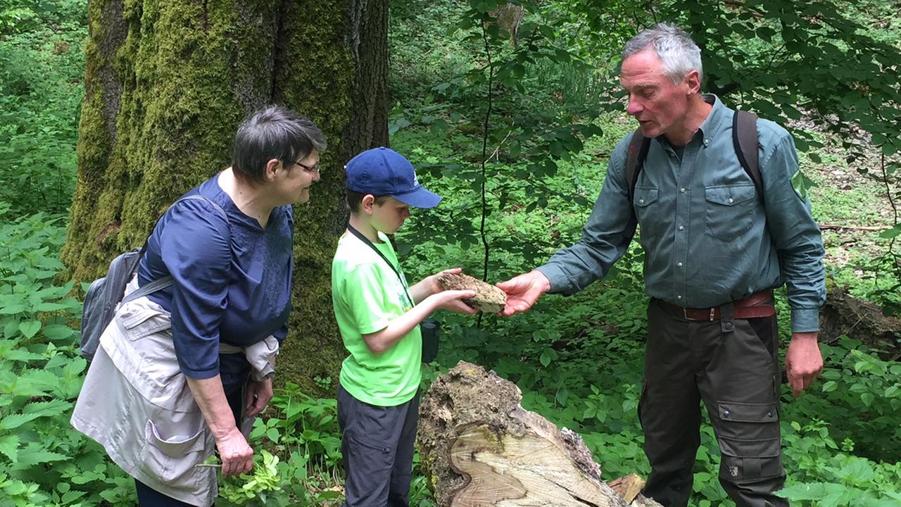 Landschaftsführer Roland Schulz führt eine Besuchergruppe durch den Buchenwald Grumsin.