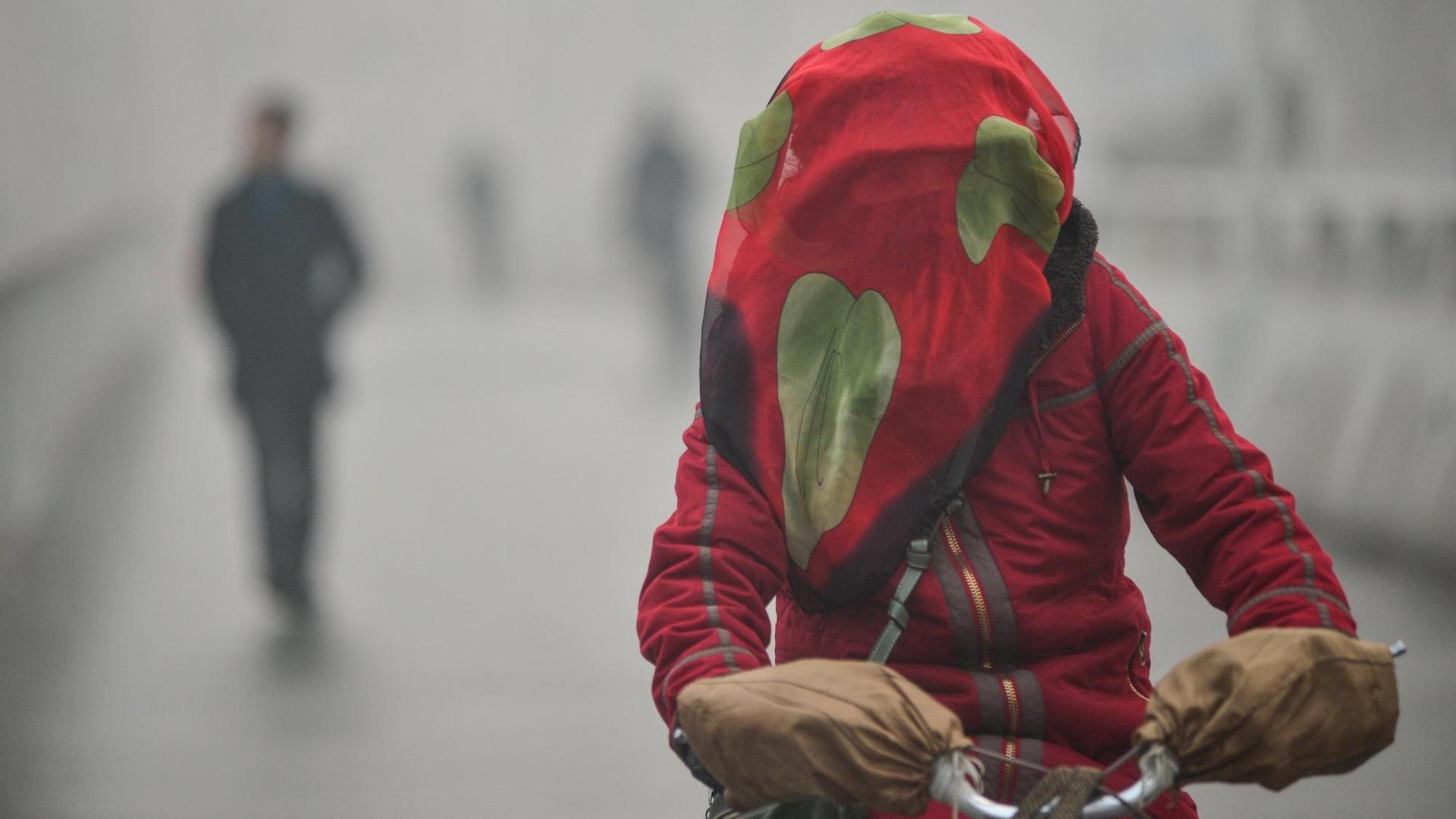 Eine Bewohnerin der chinesischen Stadt Tianjin versucht sich vor dem Smog zu schützen